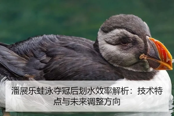 潘展乐蛙泳夺冠后划水效率解析：技术特点与未来调整方向